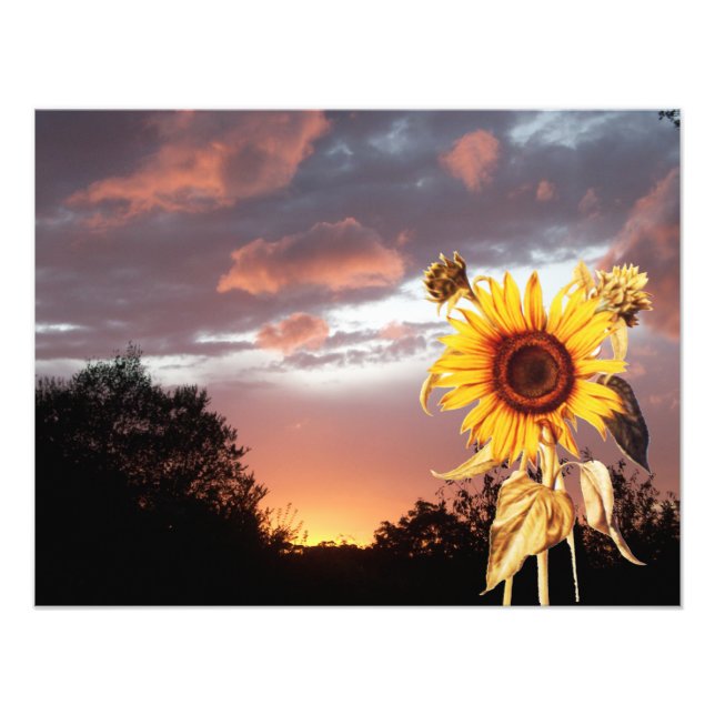 SUMMER SUNSET PHOTO PRINT (Front)
