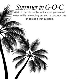 Summer t-shirts