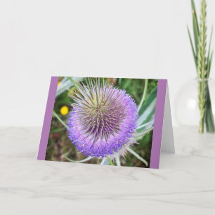 Summer Thistle Flower Card