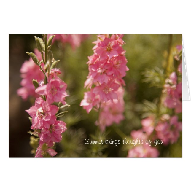 summer thoughts (Front Horizontal)