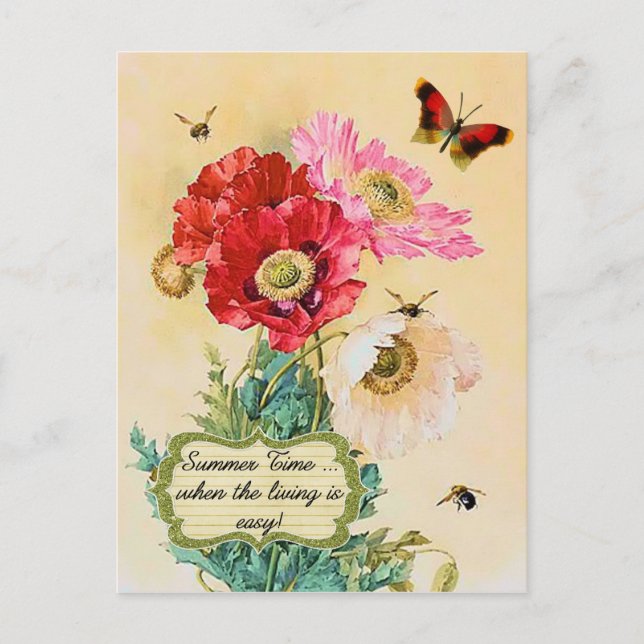 Summer Time Vintage Floral Poppies Postcard (Front)