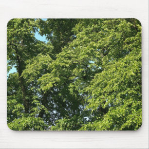 Summer Trees Mouse Pad