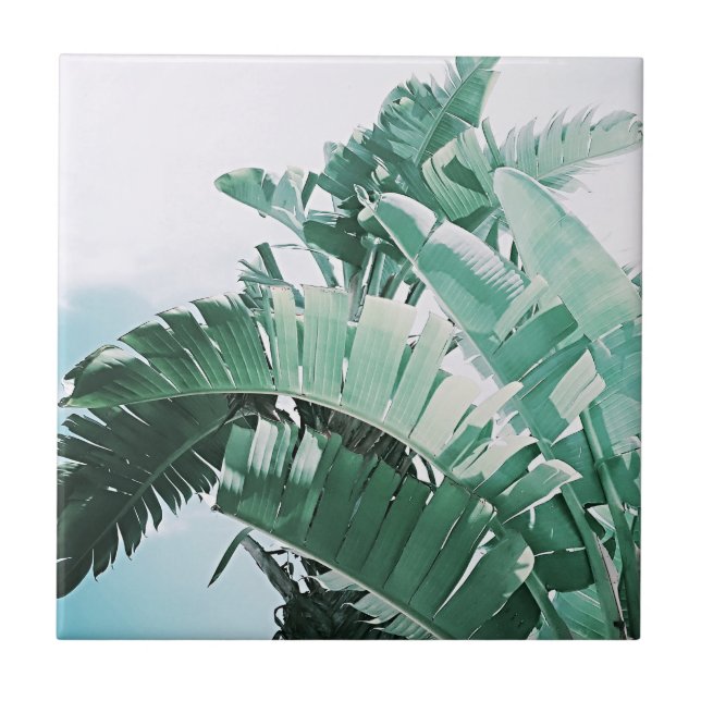 Summer Vibes Banana Leaves Pale Green Tile (Front)