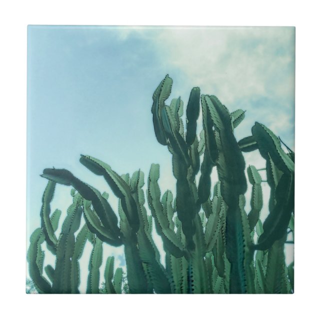 Summer Vibes Palm Tree Cactus Pale Green Tile (Front)