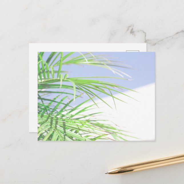Summer Vibes Palm Tree Leaves Pale Green Pastel Postcard (Front/Back In Situ)