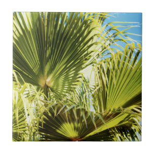 Summer Vibes Palm Tree Leaves Pale Green Tile
