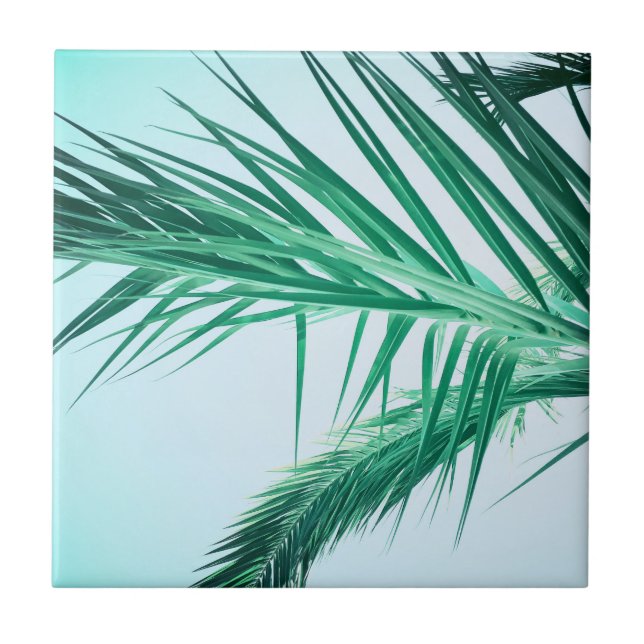 Summer Vibes Palm Tree Leaves Pale Green Tile (Front)