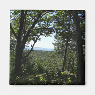 Summer View in Acadia National Park Magnet
