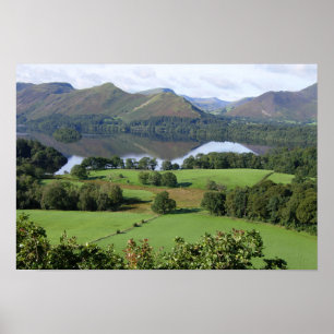 Summer View of Derwentwater Poster