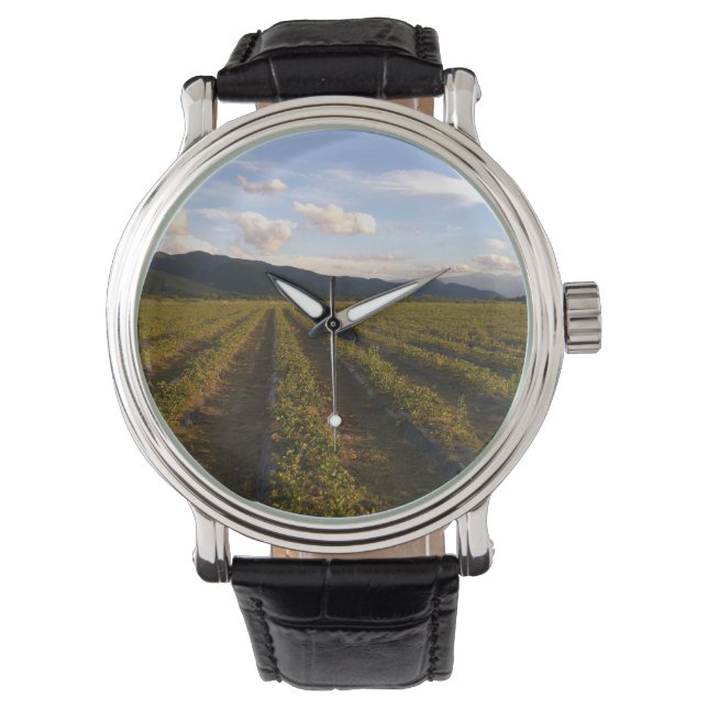 summer wall watch (Front)