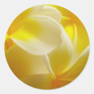 Summer Wedding Classic Round Sticker