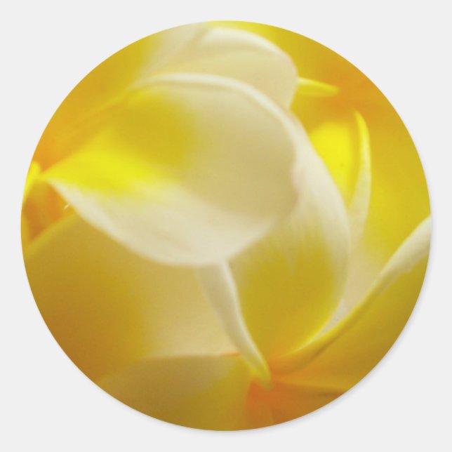 Summer Wedding Classic Round Sticker (Front)