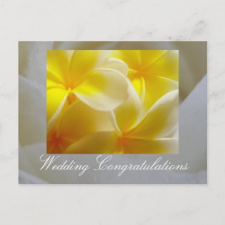 Summer Wedding Postcard