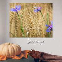 Summer wheat field with blue cornflowers