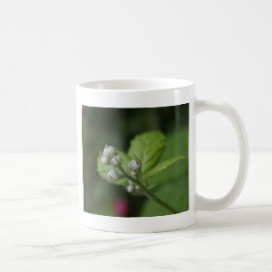 summer wild raspberry flower buds coffee mug