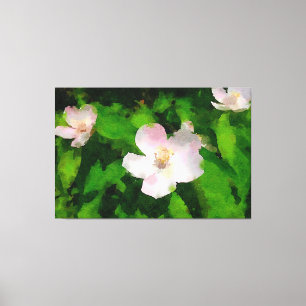 Summer Wild Roses Canvas Print