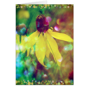 Summer wildflower