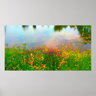Summer Wildflowers and Pond Poster