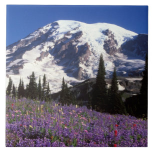 summer wildflowers at the base of Mount Rainier, 2 Tile