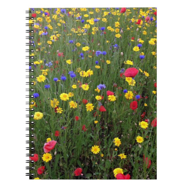 Summer Wildflowers from Loch Ness Notebook (Front)
