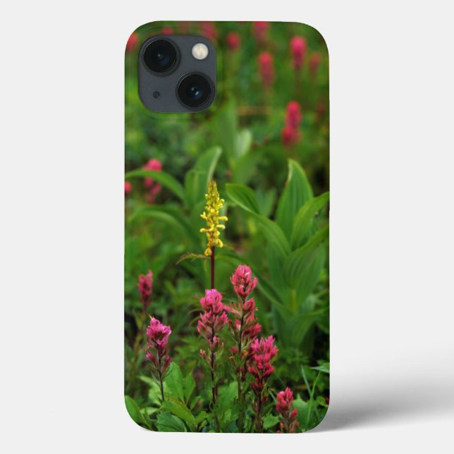 Summer Wildflowers Send Forth A Riot Of Color Case-Mate iPhone Case (Back)