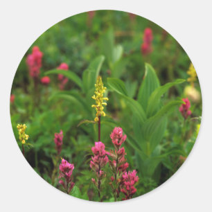 Summer Wildflowers Send Forth A Riot Of Colour Classic Round Sticker