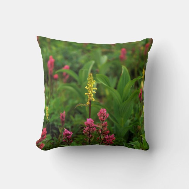 Summer Wildflowers Send Forth A Riot Of Colour Cushion (Front)