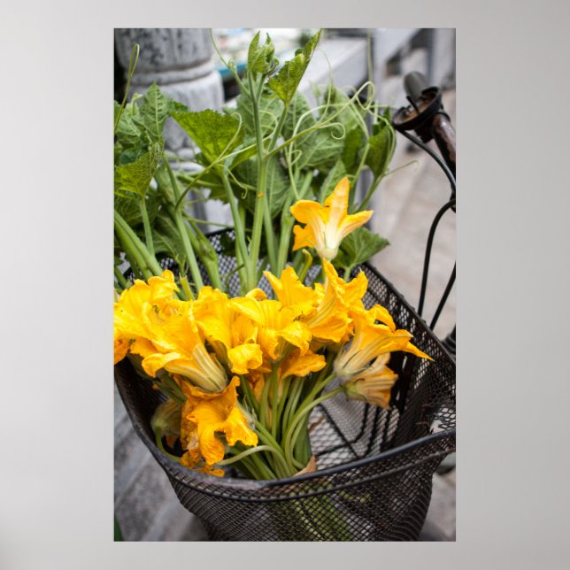 Summer Zuchinni Blossoms Poster (Front)