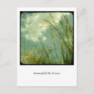 Summerfield Sky Grasses Postcard
