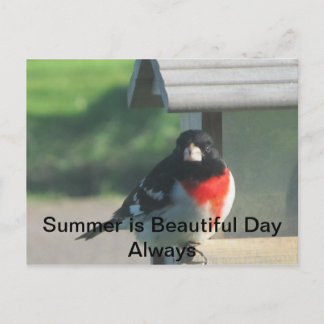 Summers Beautty Postcard