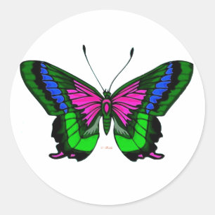 Summers Bright Colours 5 Classic Round Sticker