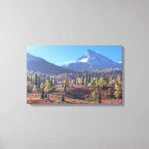 Summer's End Canvas Print