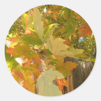 Summer's Gone Classic Round Sticker