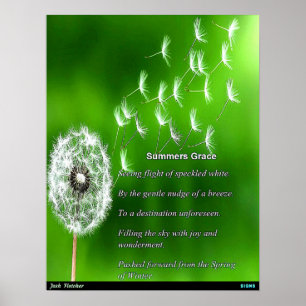 Summers Grace Poster