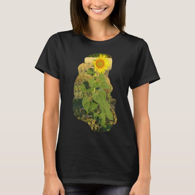 SummerSunFlower - T-Shirt (Front)