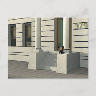 Summertime cat postcard