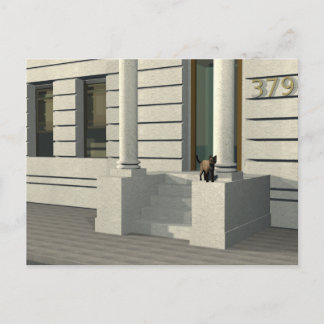 Summertime cat postcard