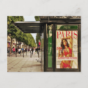 Summertime in Paris Postcard