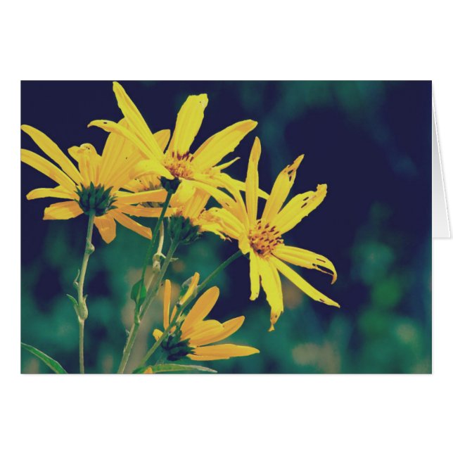 Summertime Wildflowers (Front Horizontal)