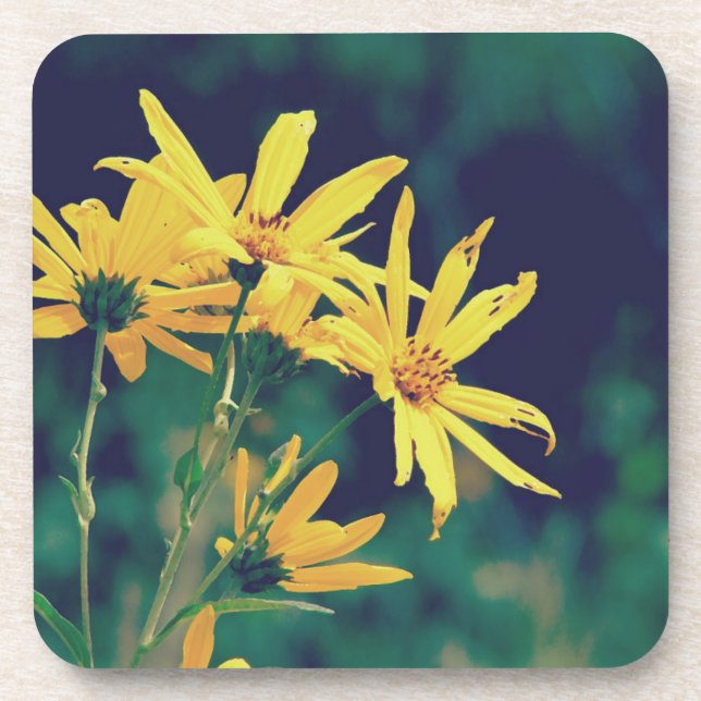 Summertime Wildflowers Coaster (Front)