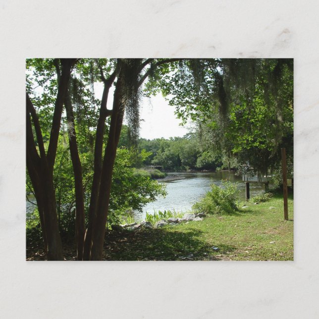 Summerville, SC Postcard (Front)