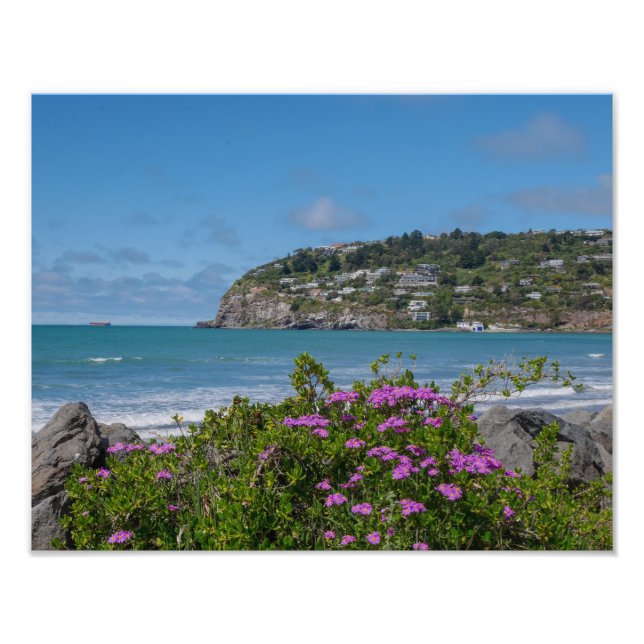 Sumner Beach, Christchurch - Photo Print (Front)