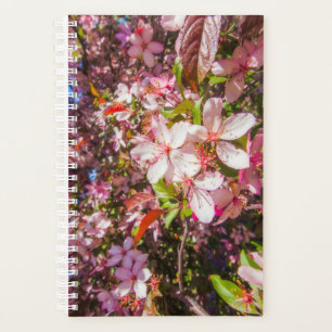 Sun and clouds Nature blooms Heart in flowers Planner