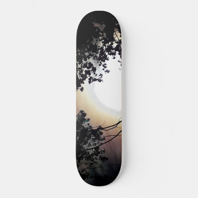 Sun And Pin Oaks Skateboard (Front)
