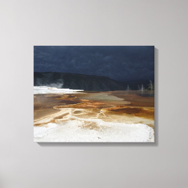 Sun and Shadow Canvas Print (Front)