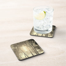 Sun and trees beverage coaster