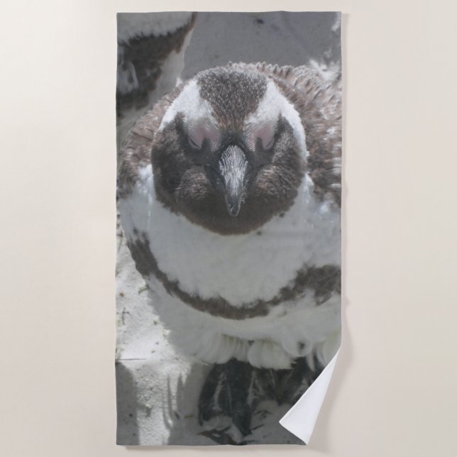 Sun Bathing Penguin Beach Towel (Front)
