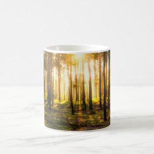 Sun beams shines in pine forest coffee mug