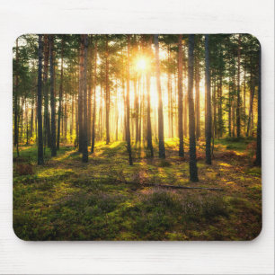 Sun beams shines in pine forest mouse pad