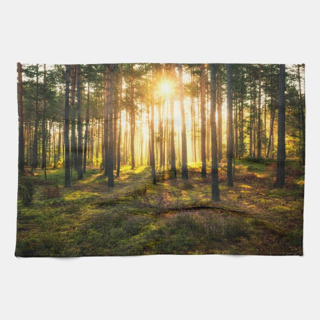 Sun beams shines in pine forest tea towel (Horizontal)